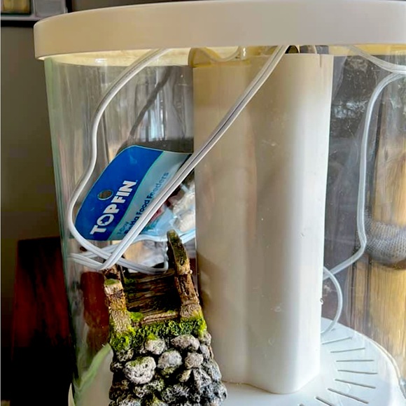 Beta fish tank - Picture 1 of 1